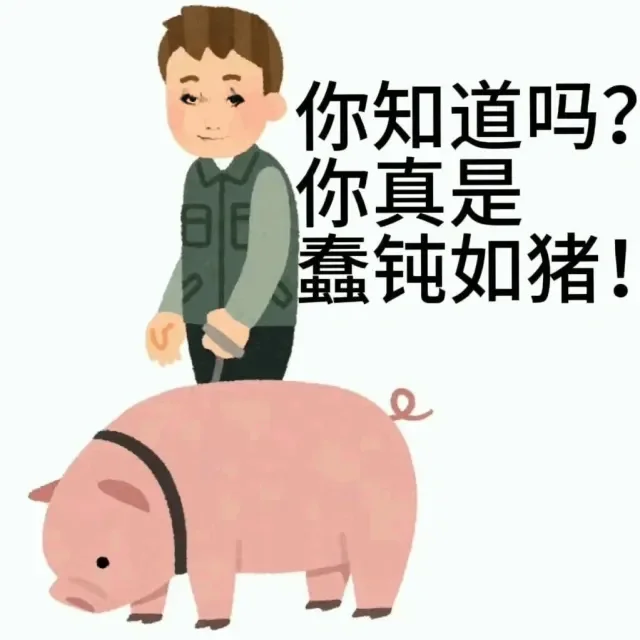 龙龙上新｜快来进货嘻嘻