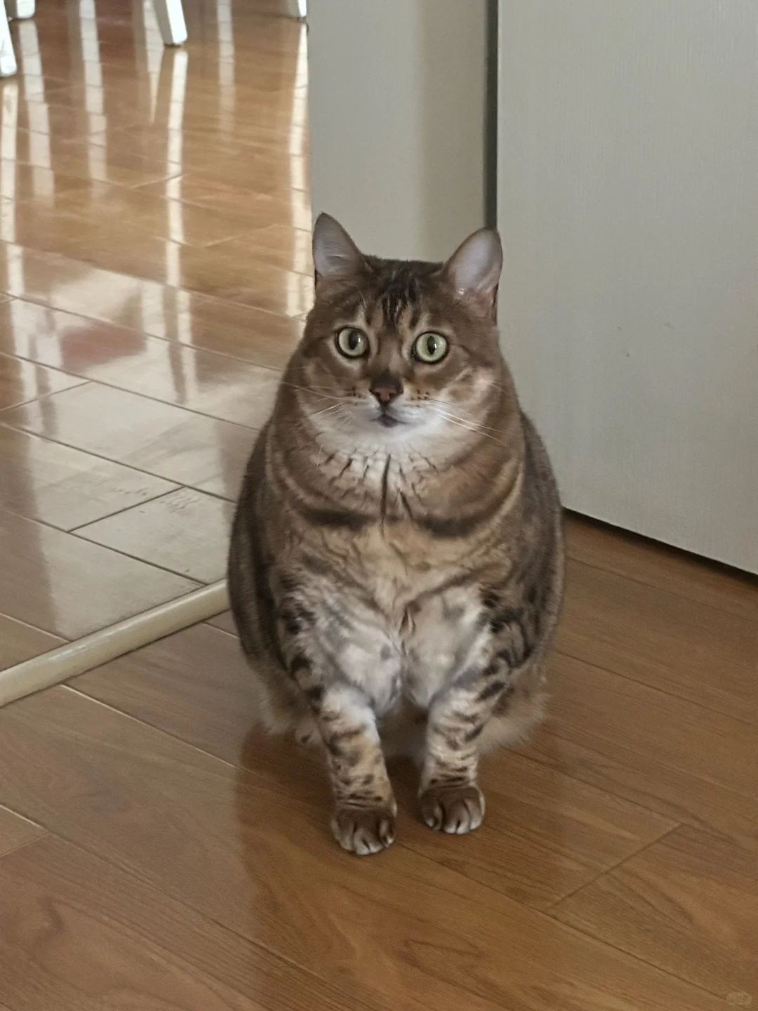 蟒姐｜狐媚子劲这玩意是天生的