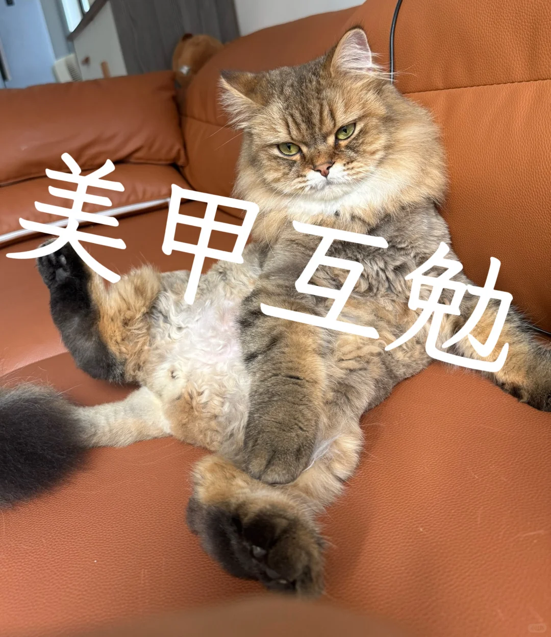 有想做美甲的美少女吗？