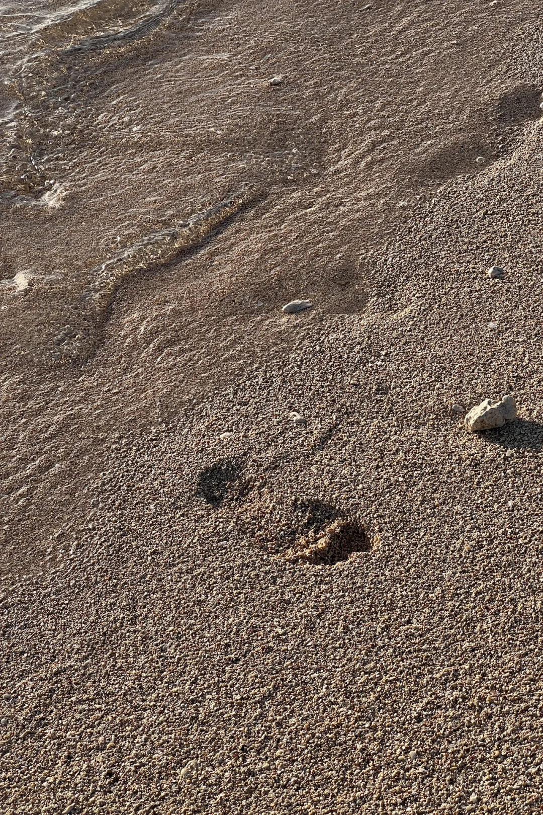 Get sun kissed in nice.