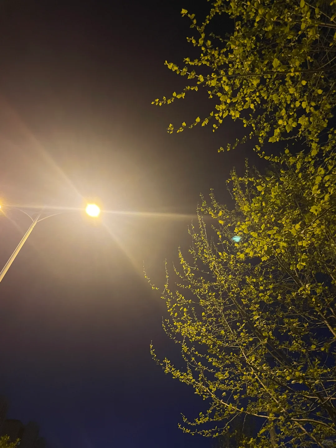 忘记生活的疲惫，感受运动的乐趣🏃