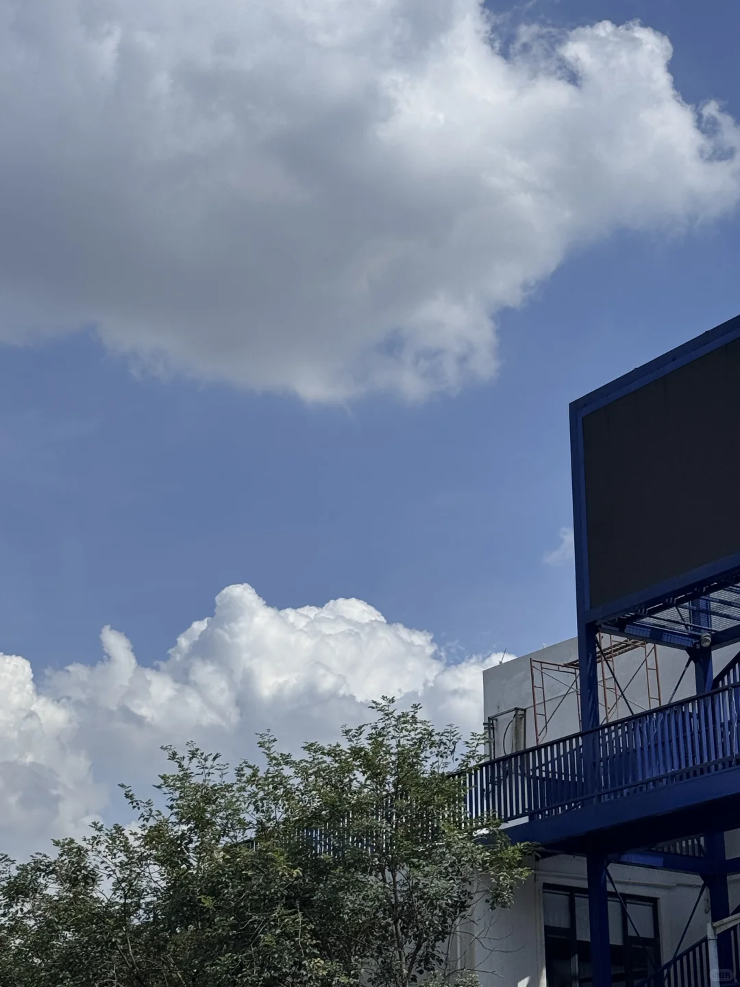 炎炎夏日 1000米/24分/蛙泳