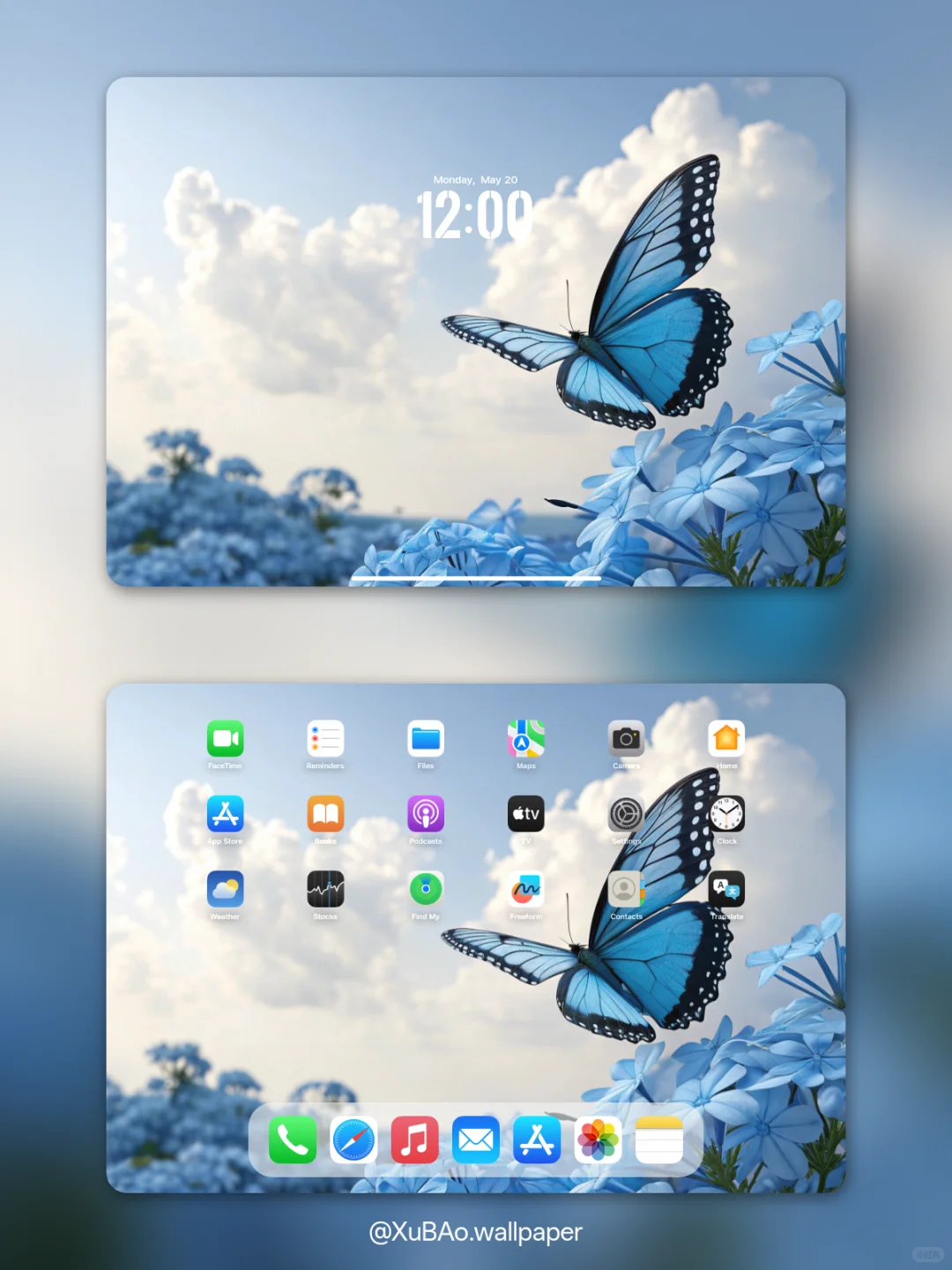 A2521 | 4k壁纸 | 蝶恋花