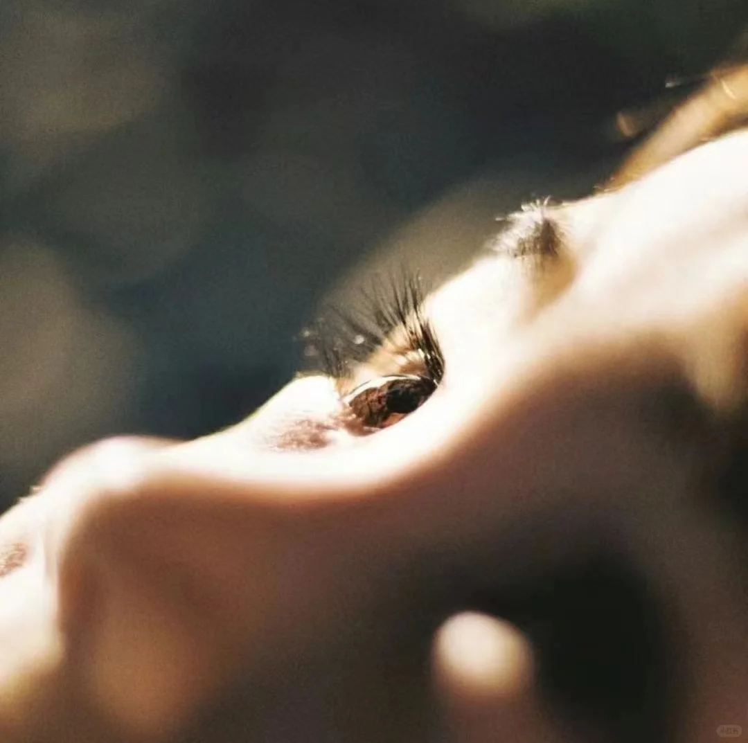 审美147｜有生命力的照片，不过是最自然的