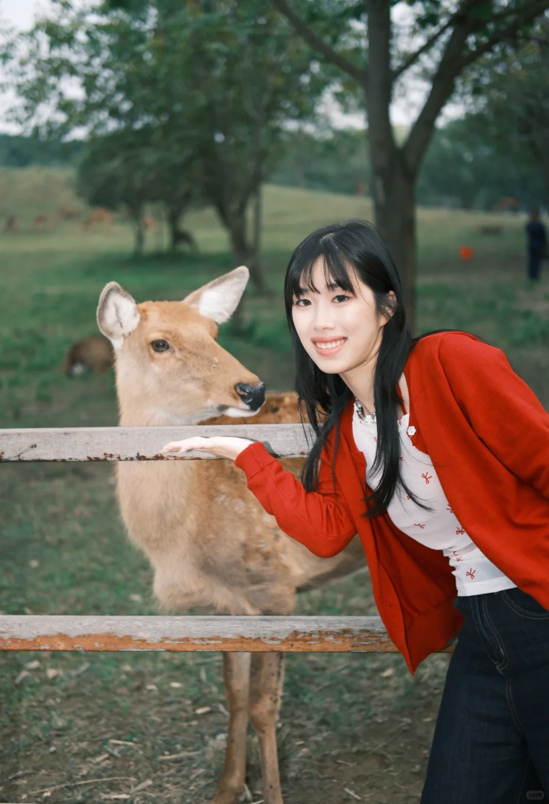 「良渚鹿苑｜用富士XT5拍出了秋日美照🍂」