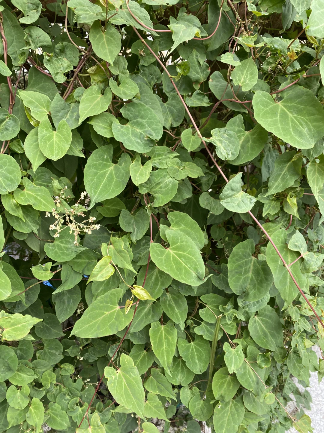 这个状态你是喊我姐姐还是阿姨