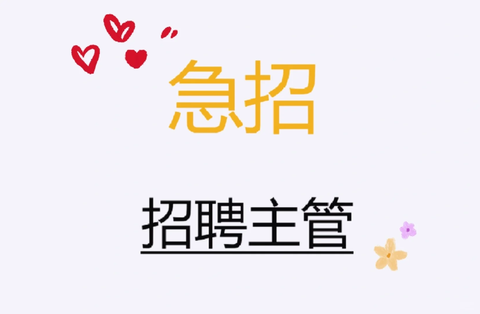 急招-招聘主管
