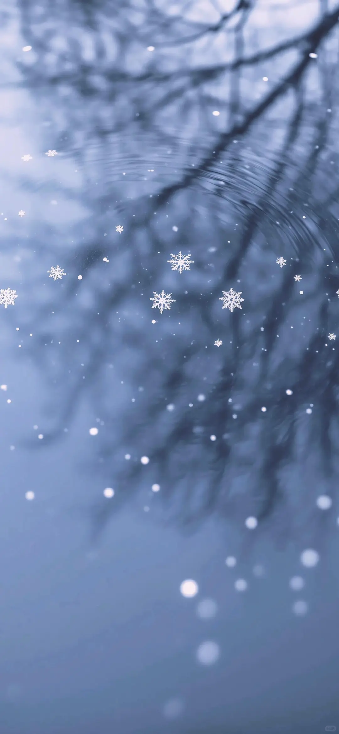 ～雪花❄️～壁纸❄️～来啦～