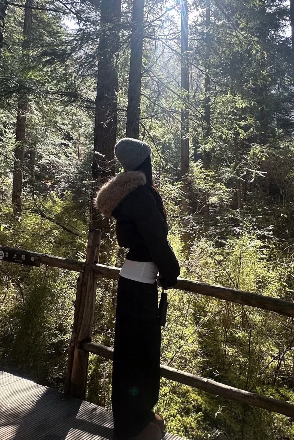 走进山林吸氧⛰️