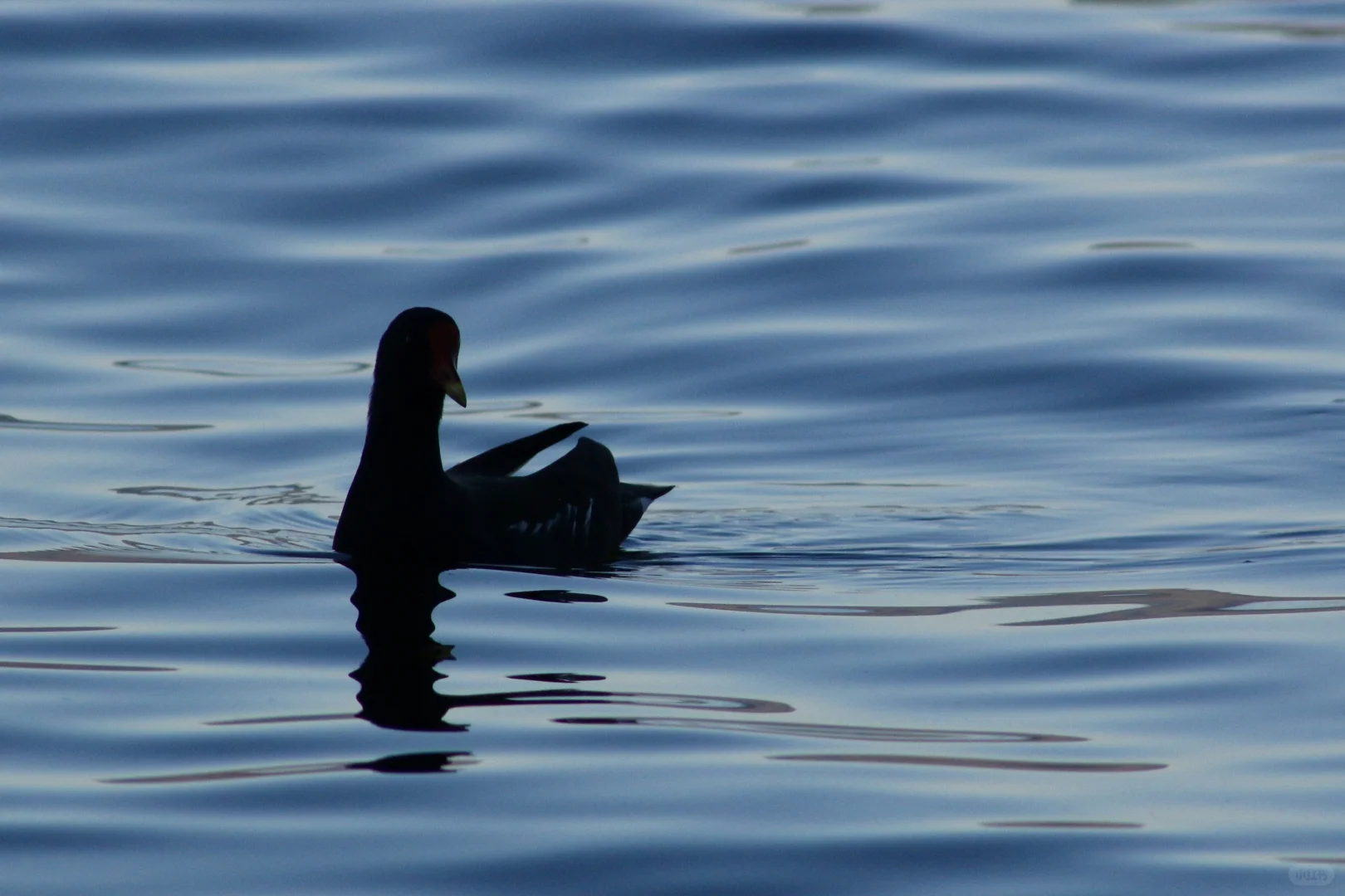 申请成为你的ipad壁纸！🩵🫧