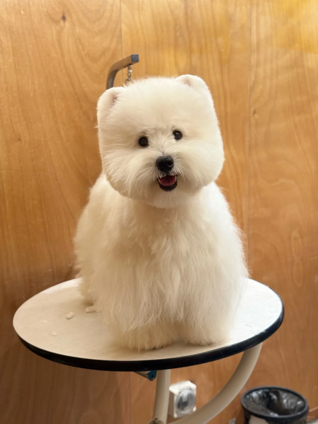 美少女大变身🥳