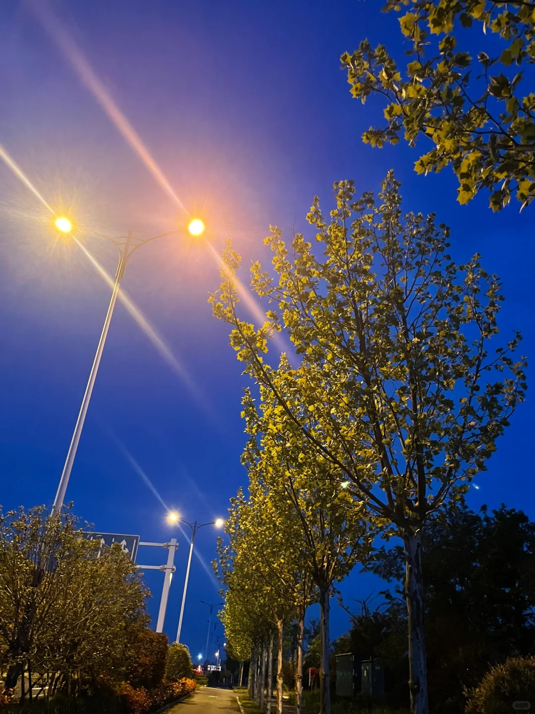 忘记生活的疲惫，感受运动的乐趣🏃