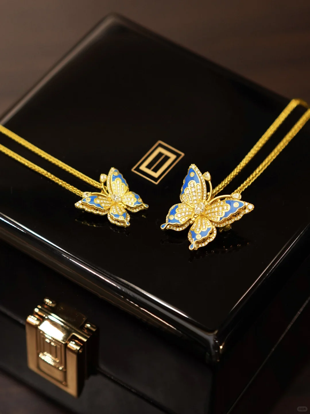 “光明女神”闪蝶-翩然而至的金色梦境✨