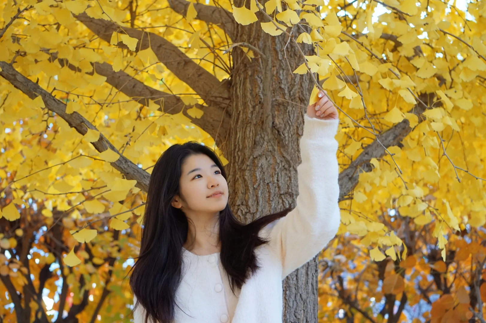 04女大⎮又是一年首经贸的秋