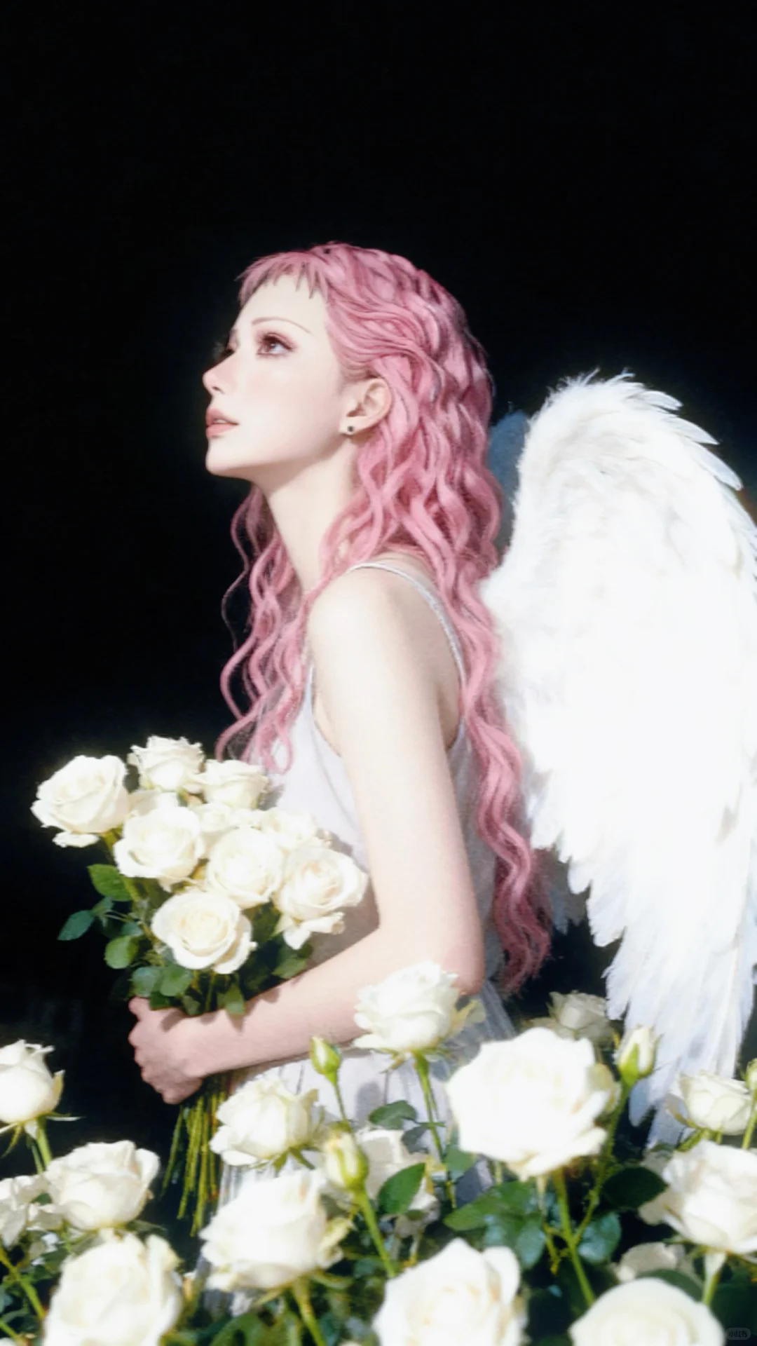 摇滚天使 芹泽蕾拉