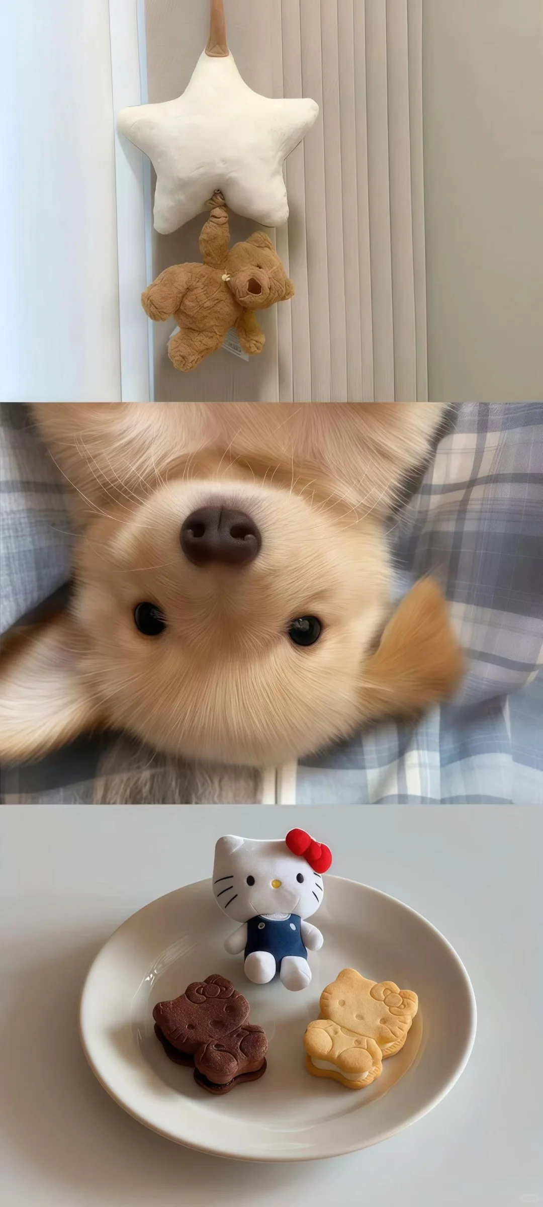 拼接风ins壁纸🐰‧˖⁺🧁⁺˚ 🧈𓈒꙳⋆ 🍧