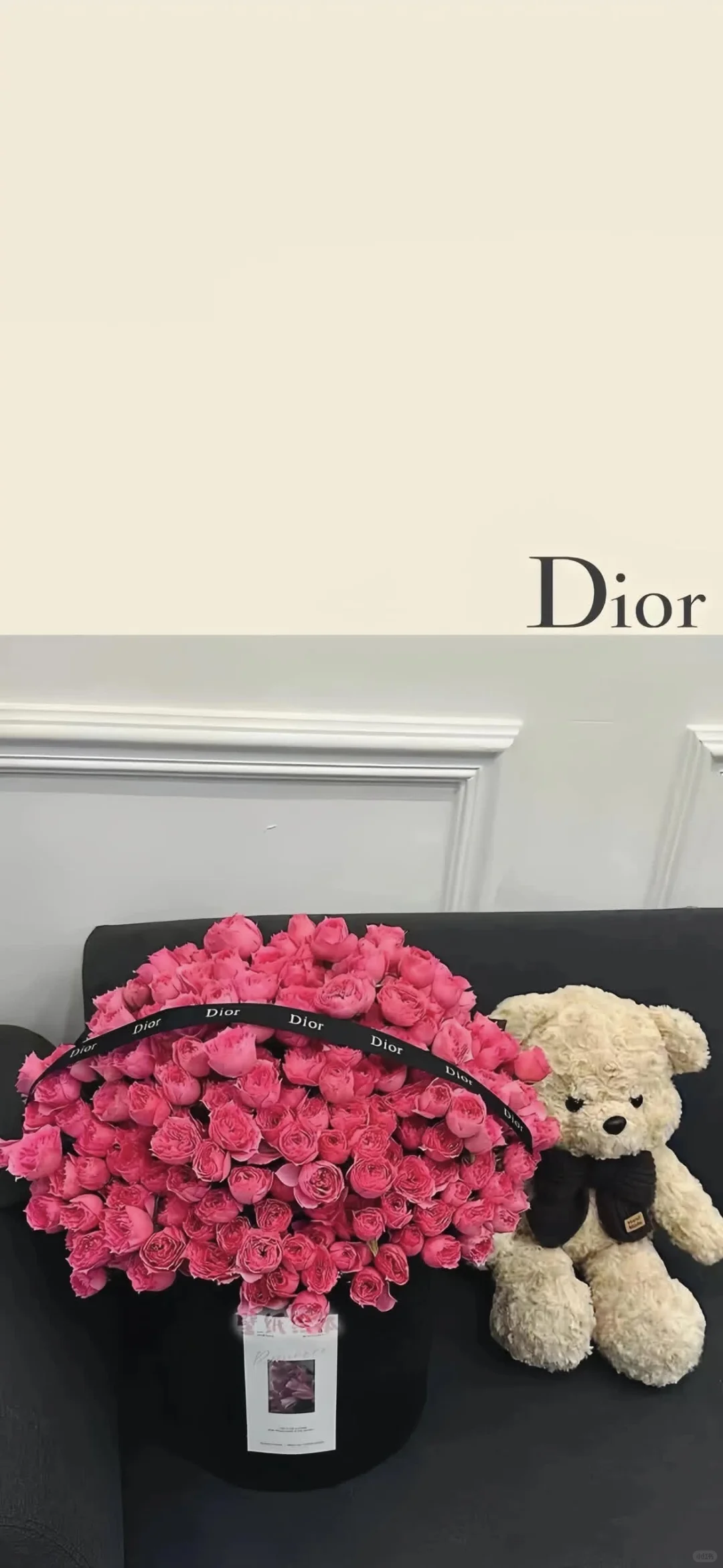 今日份ins风壁纸请查收🐻🌺