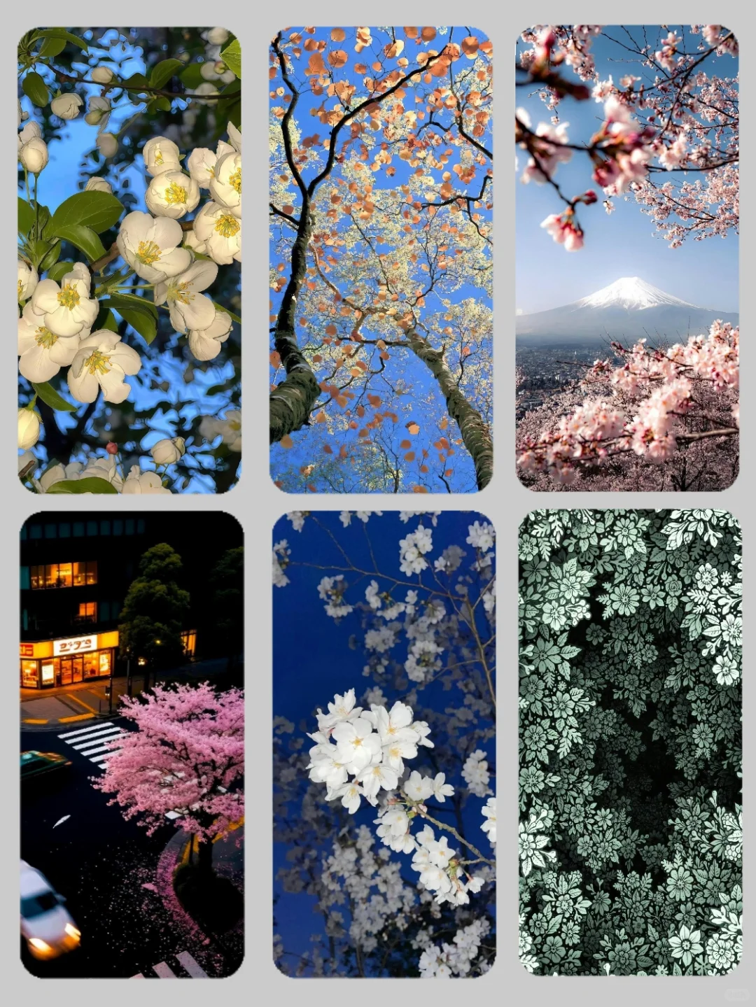 ios26裸眼3D景深壁纸 𐙚˙⋆.˚