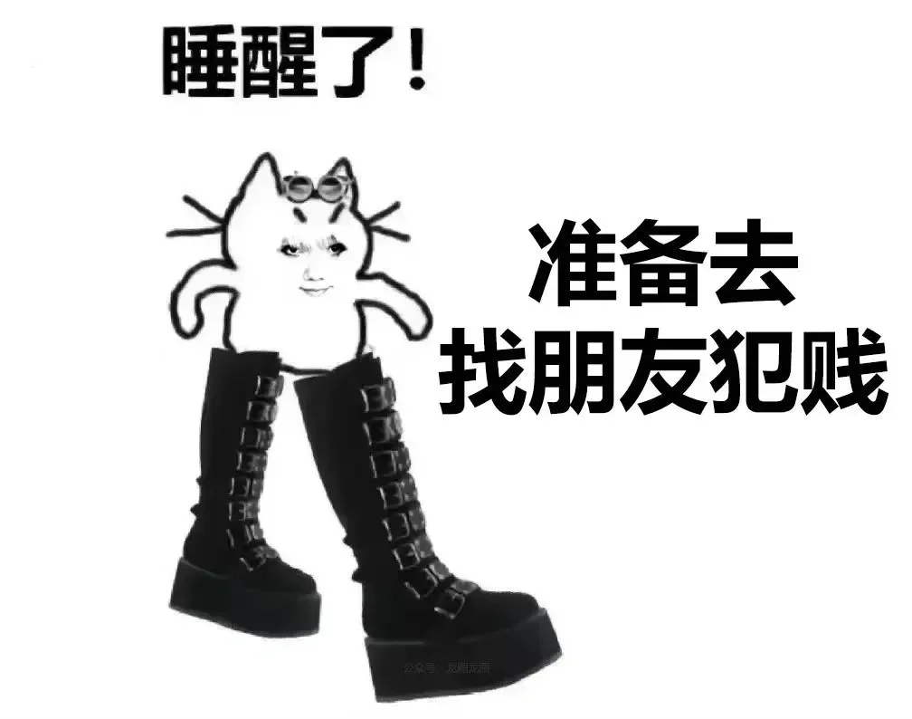 龙龙上新｜快来进货嘻嘻