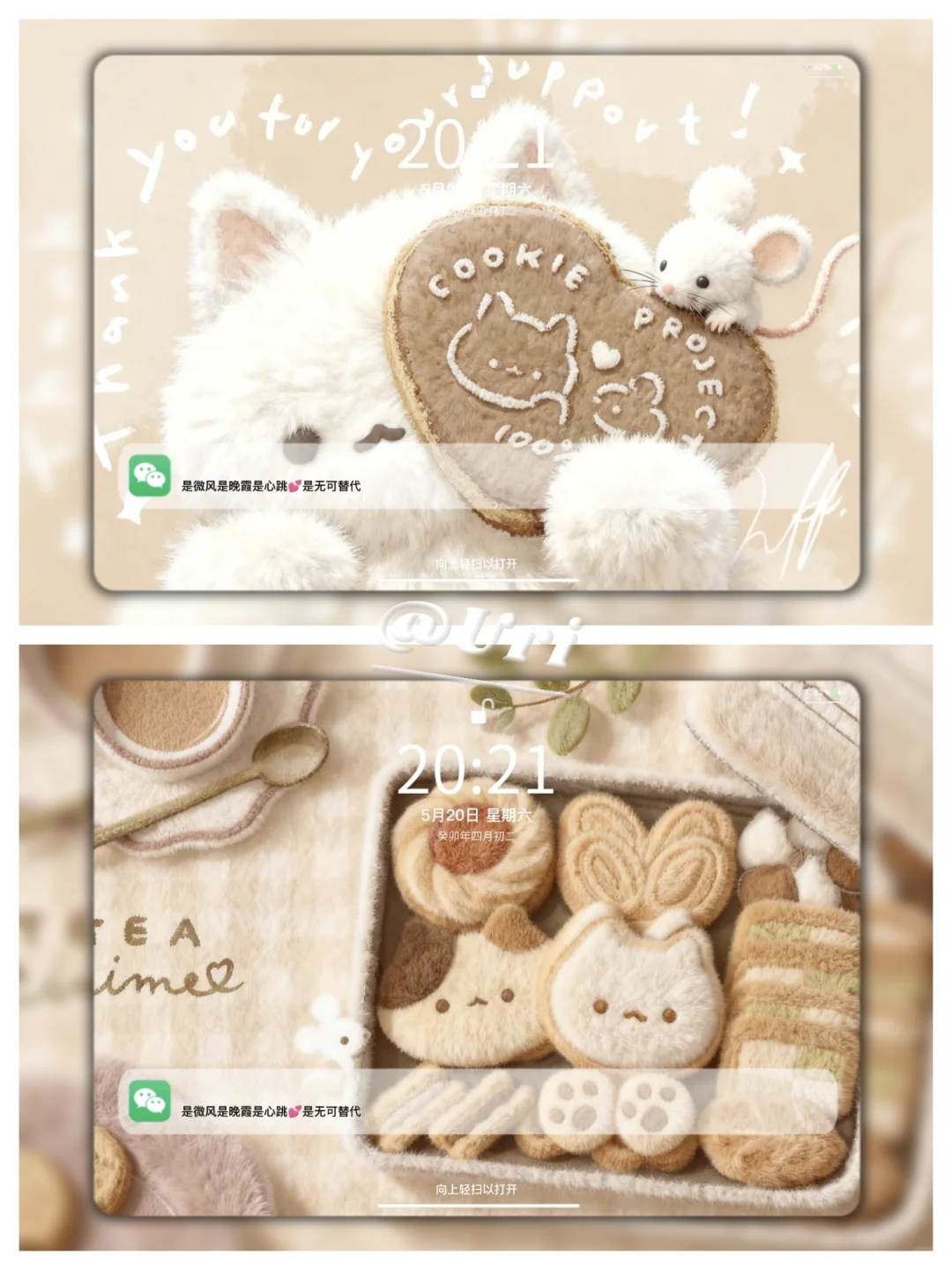 Share | 𝒊𝒑𝒂𝒅壁纸 毛茸茸质感