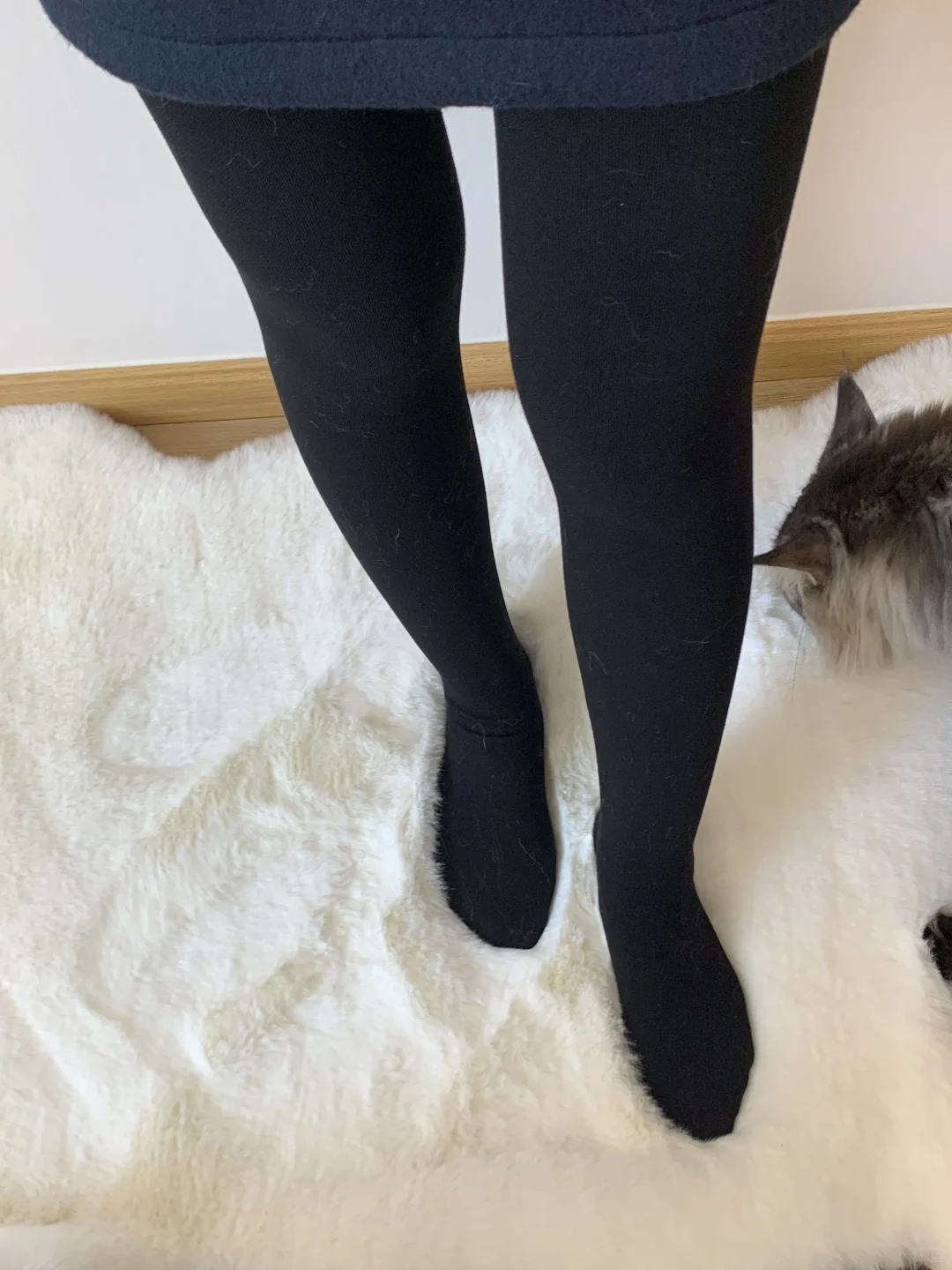 怕冷星人狂喜！加绒连裤袜 踩脚设计 零下5℃