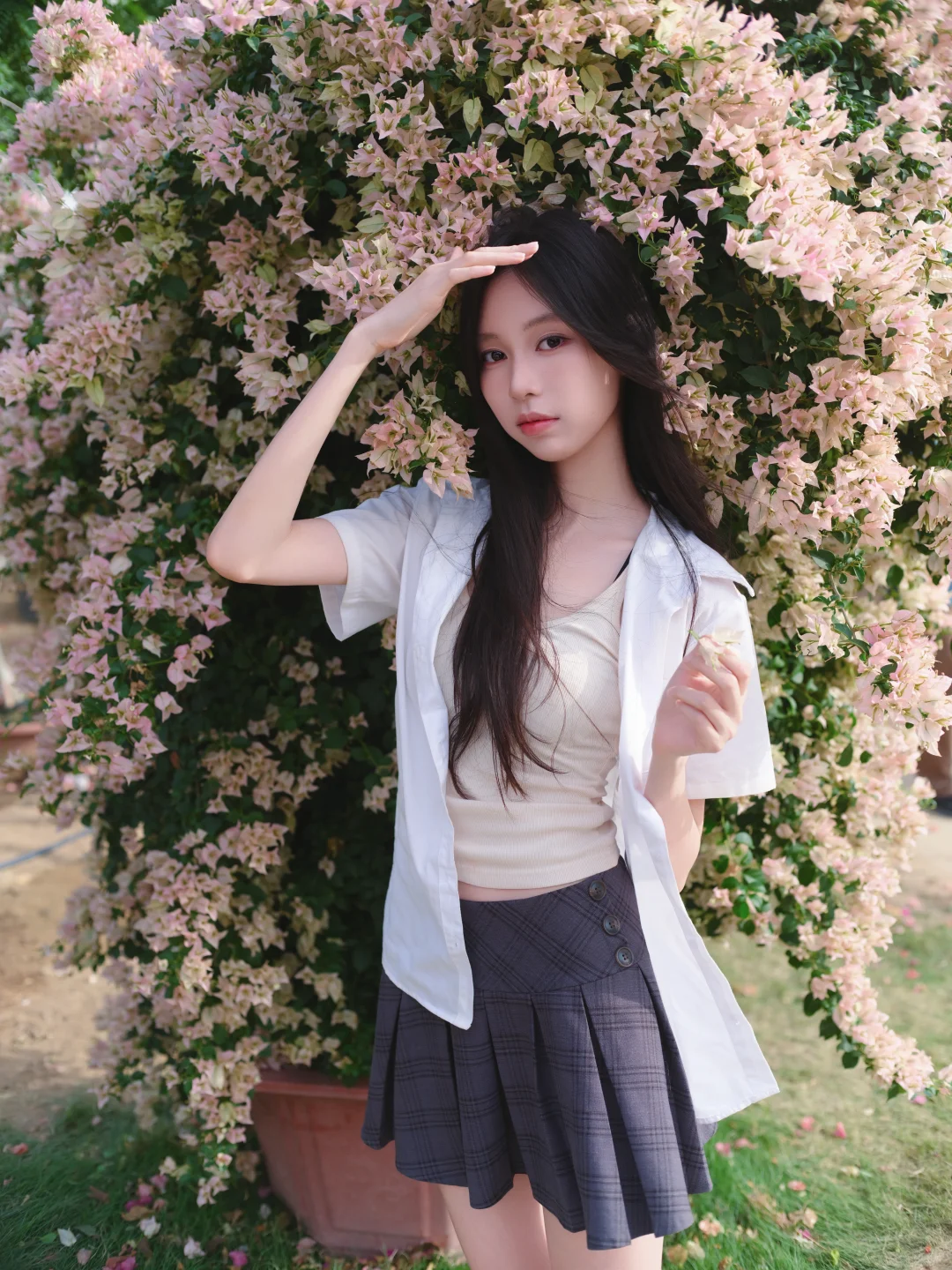 一颗三角梅就有各种角度