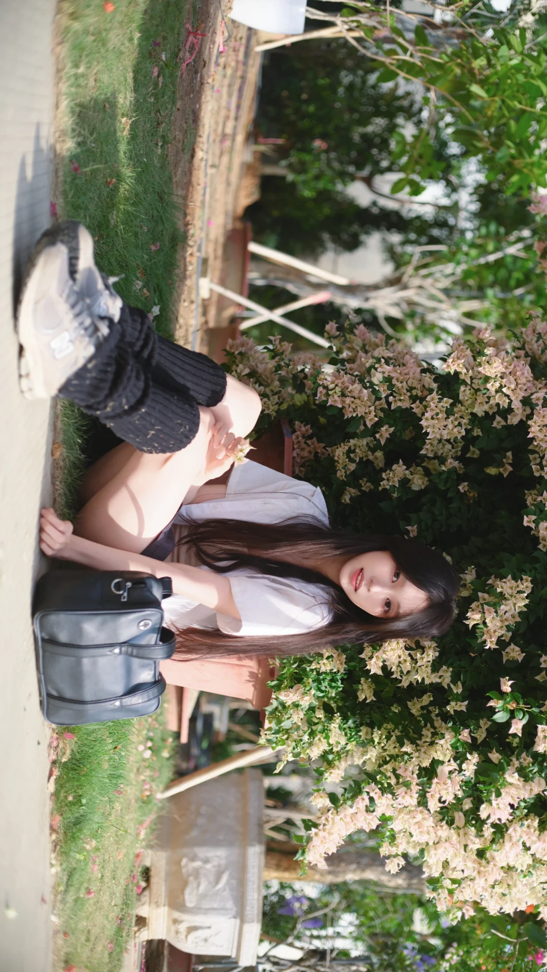 一颗三角梅就有各种角度