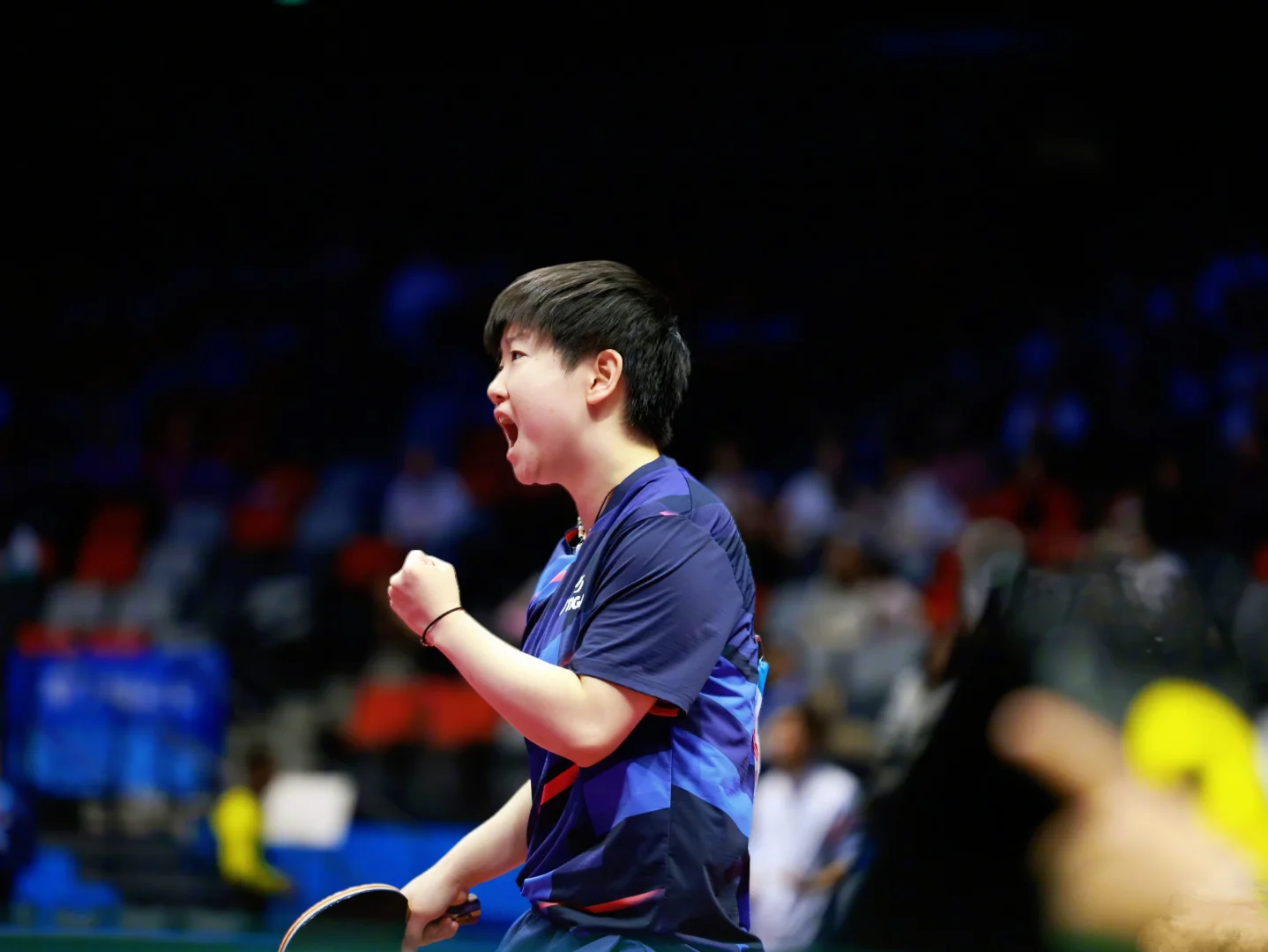 第十五届全国运动会🏓🦈 11.12