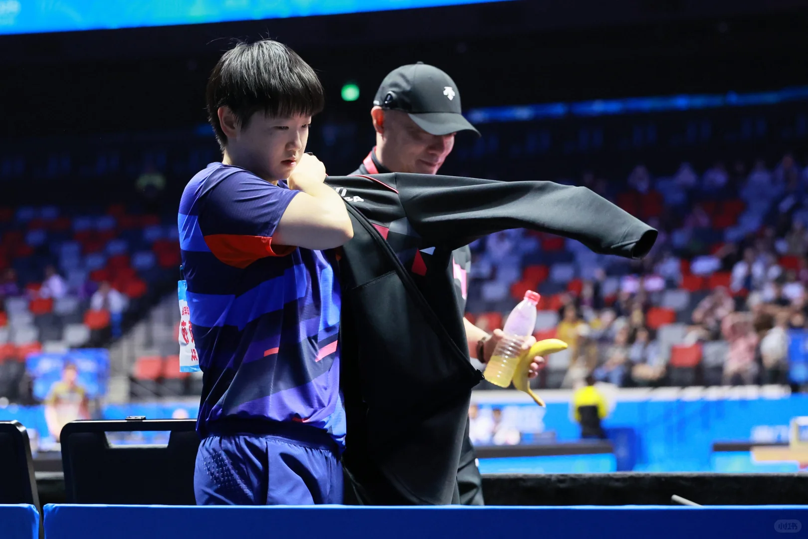 第十五届全国运动会🏓🦈 11.12