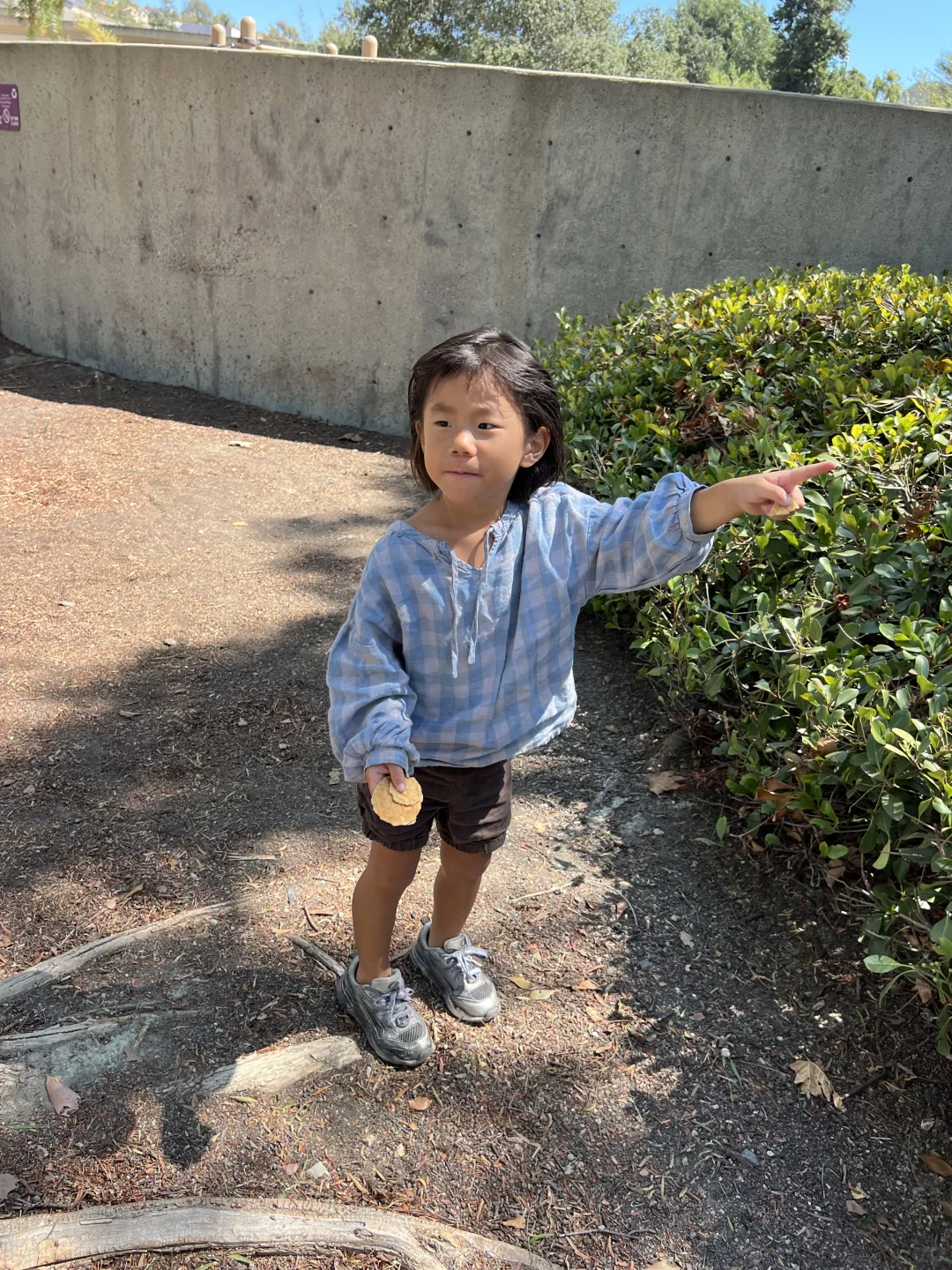 美国学校的“美美照”从来不会让你“惊喜”