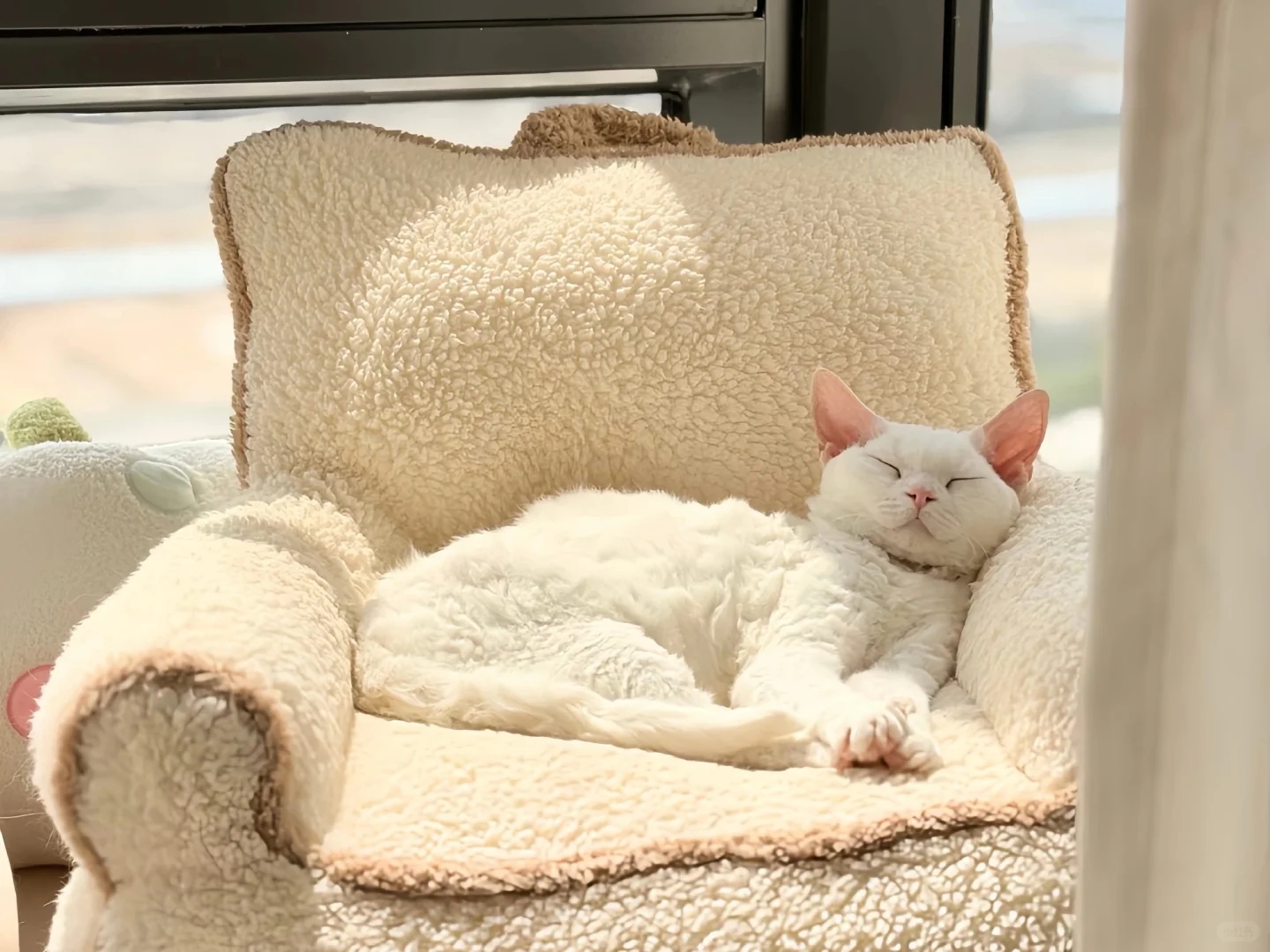 IPAD里的的秋天🍂