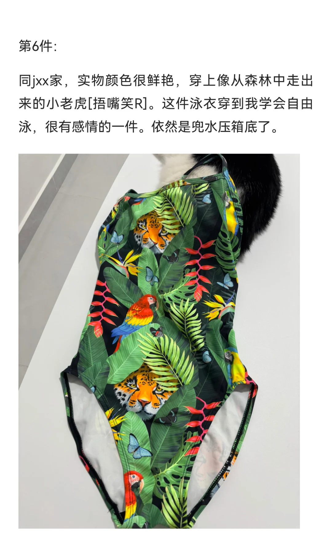 总结一下这些年学游泳买过的泳衣