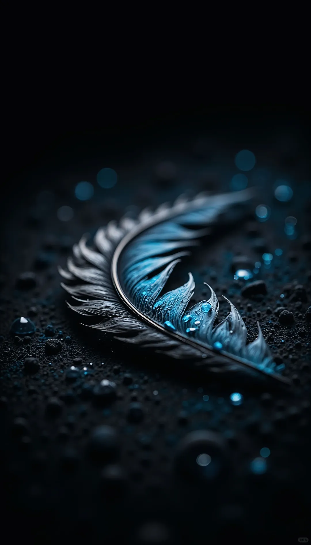 𝐒𝐡𝐚𝐫𝐞｜iPhone壁纸240期