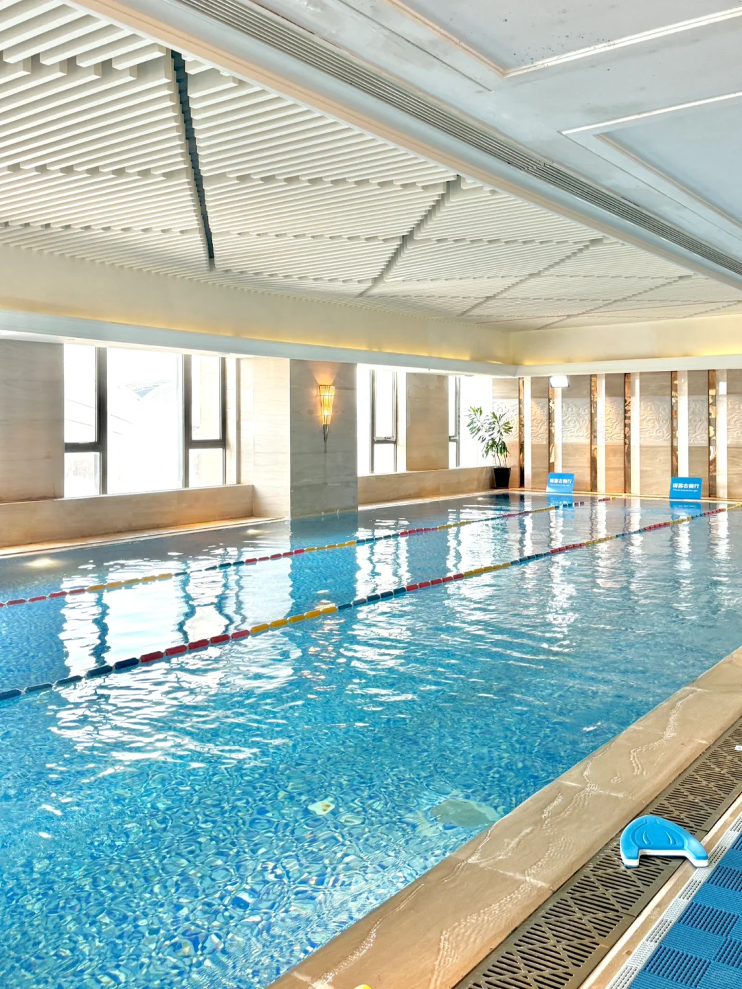 沈阳游泳｜游泳太快乐了（自由泳学习中）