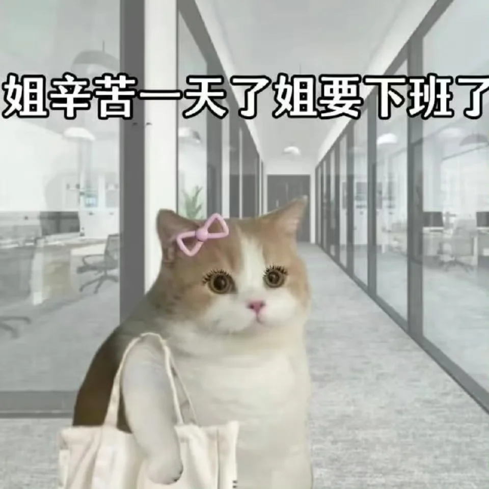 打造职场新人设之