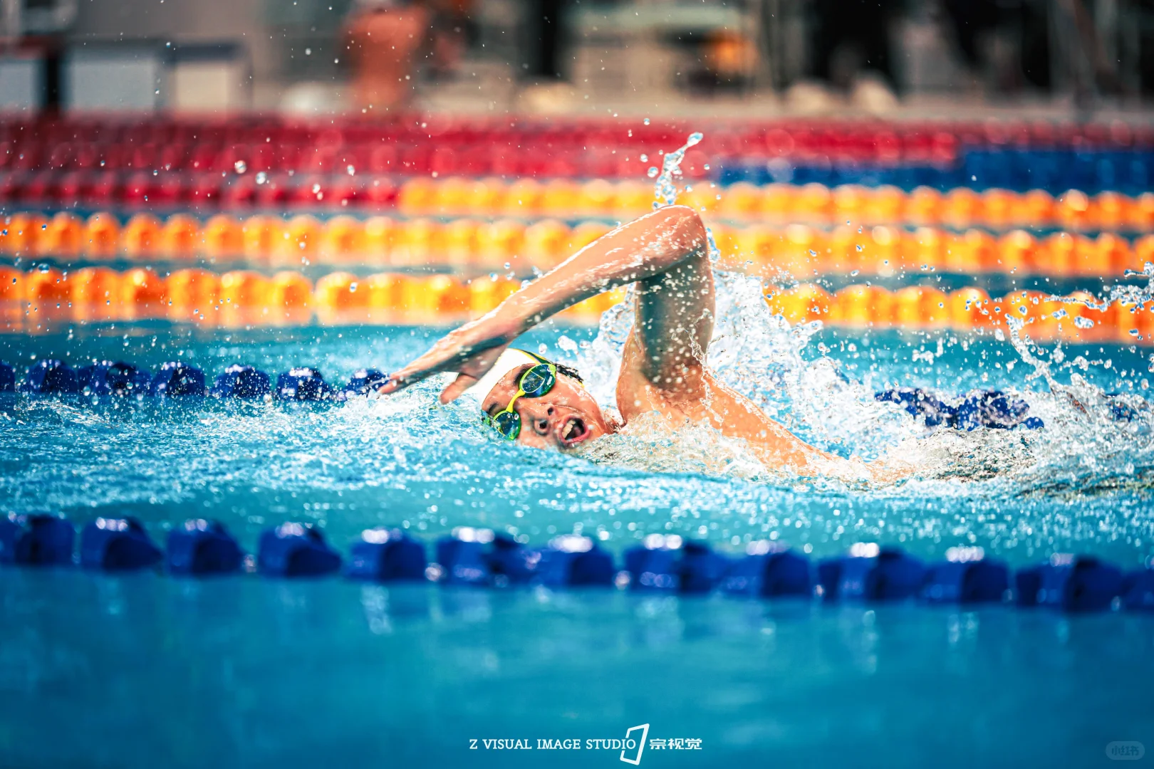 自由泳拍摄，难拍但好看！