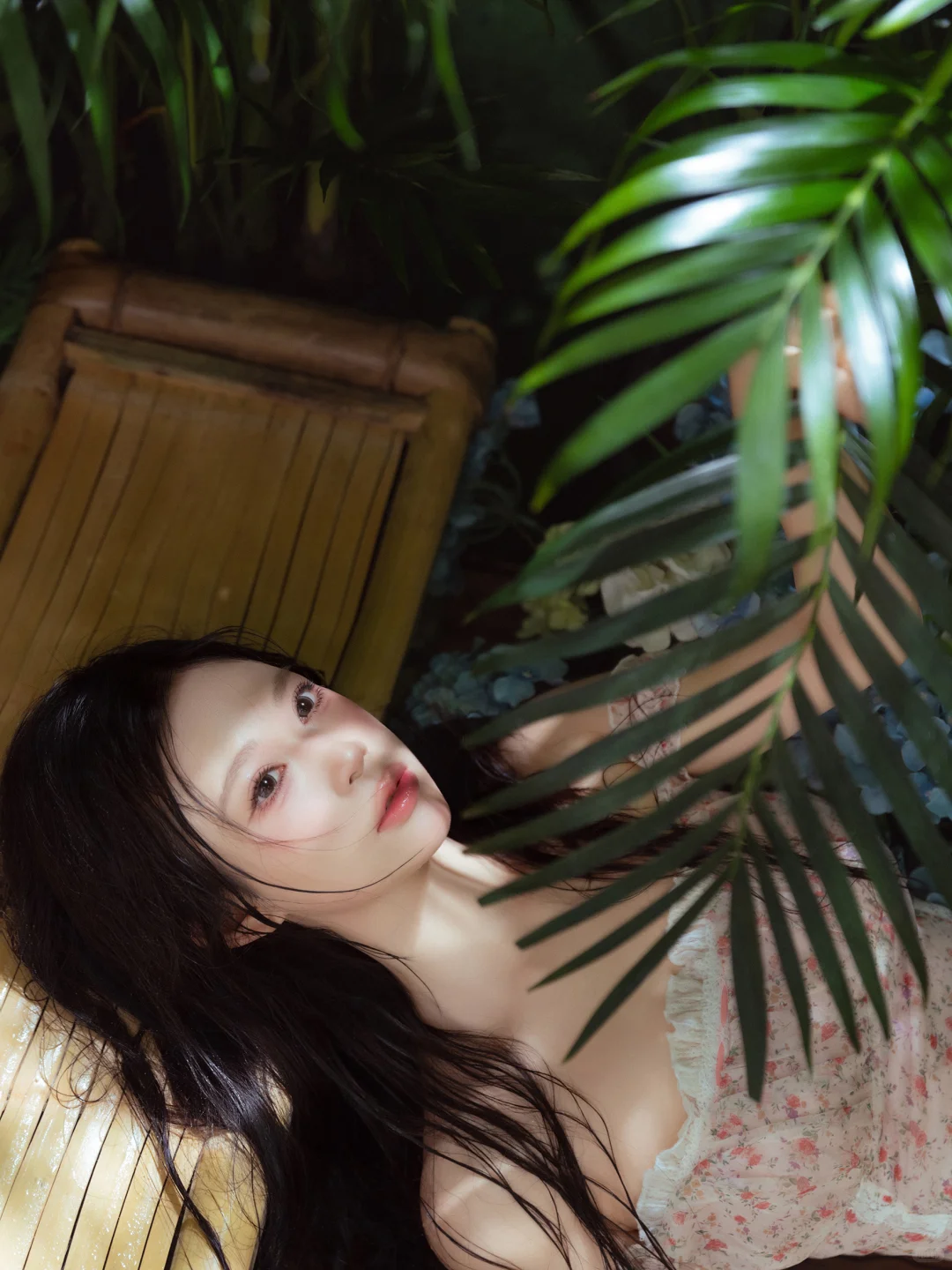 连云港写真丨柔光里的森林*治愈感🍃