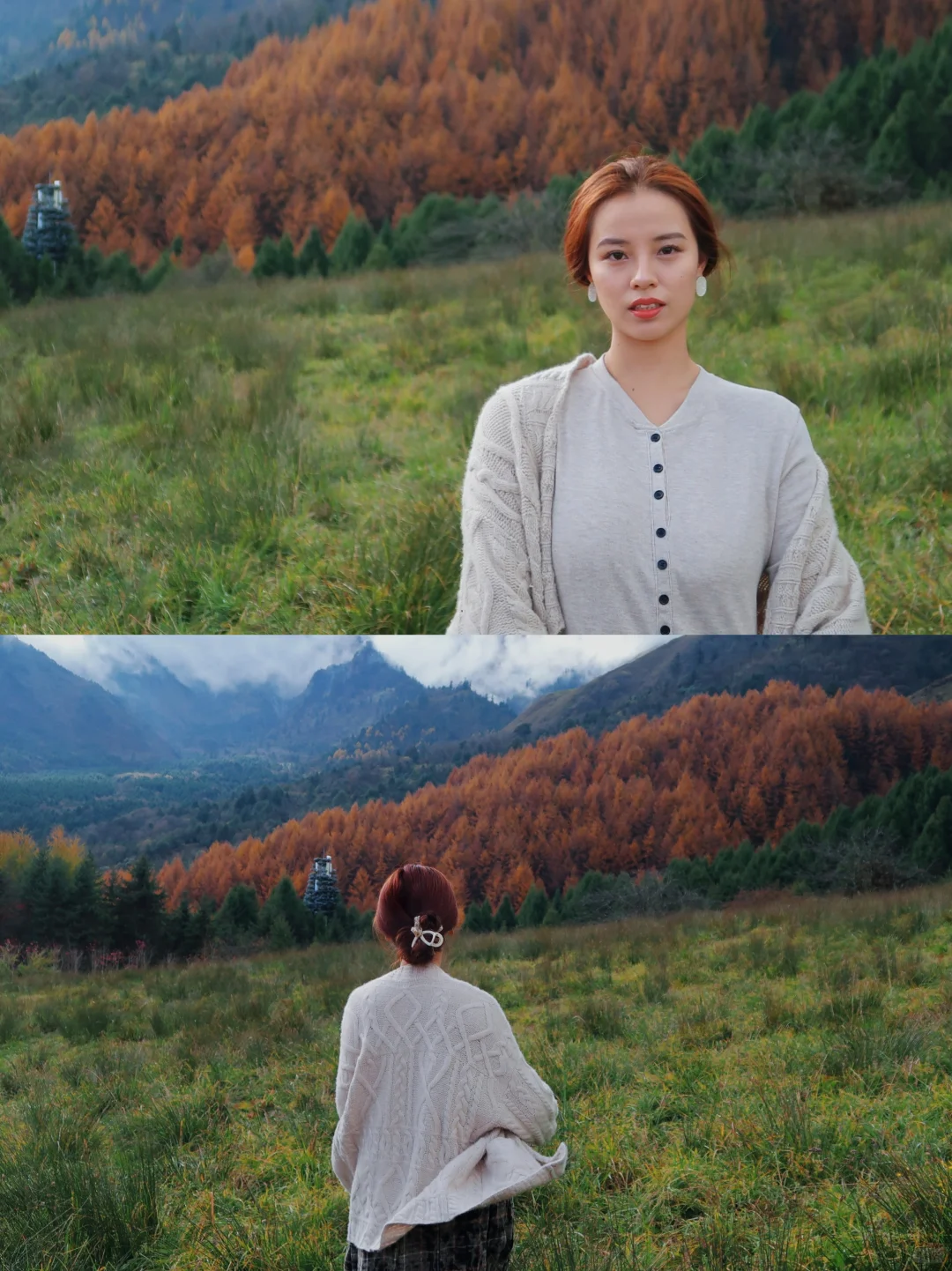 最后一抹秋黄，是写给冬天的序章。