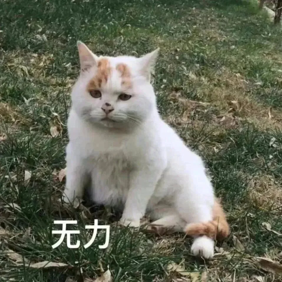 搞怪的贱贱的表情包