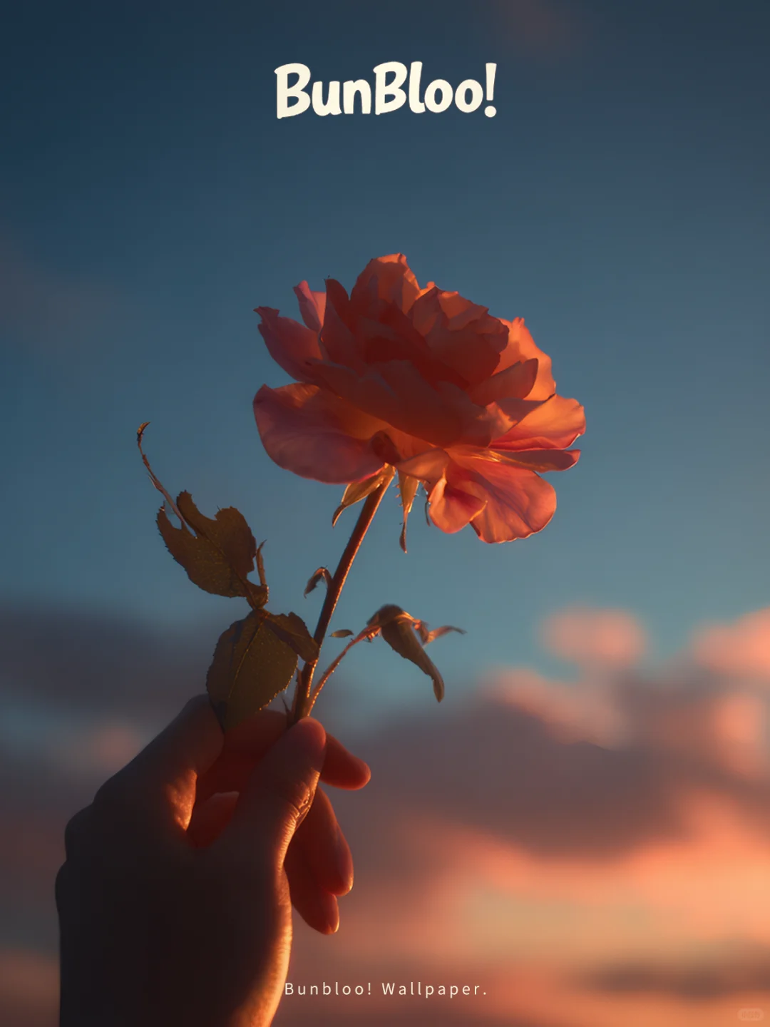 今日份壁纸分享，花花的世界真美啊！｜140