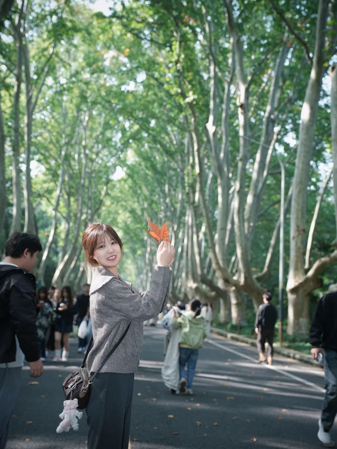 花100r拍的照片！大家觉得值吗