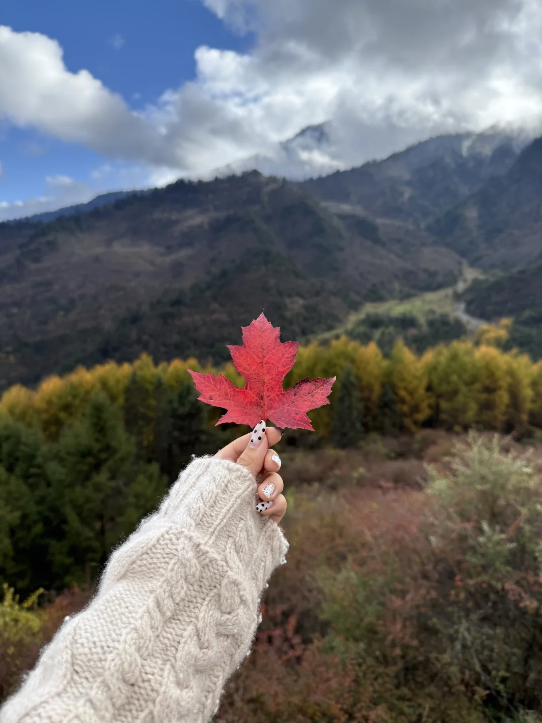 最后一抹秋黄，是写给冬天的序章。