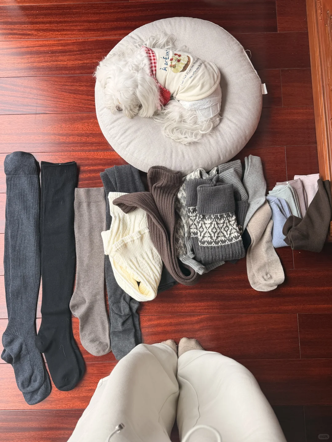 海宁羊毛袜你真的…暖暖嘟我老寒腿每年买🧦