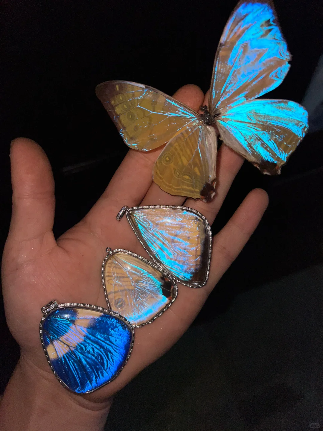 玩物丧志集上的新款｜ 闪蝶吊坠！