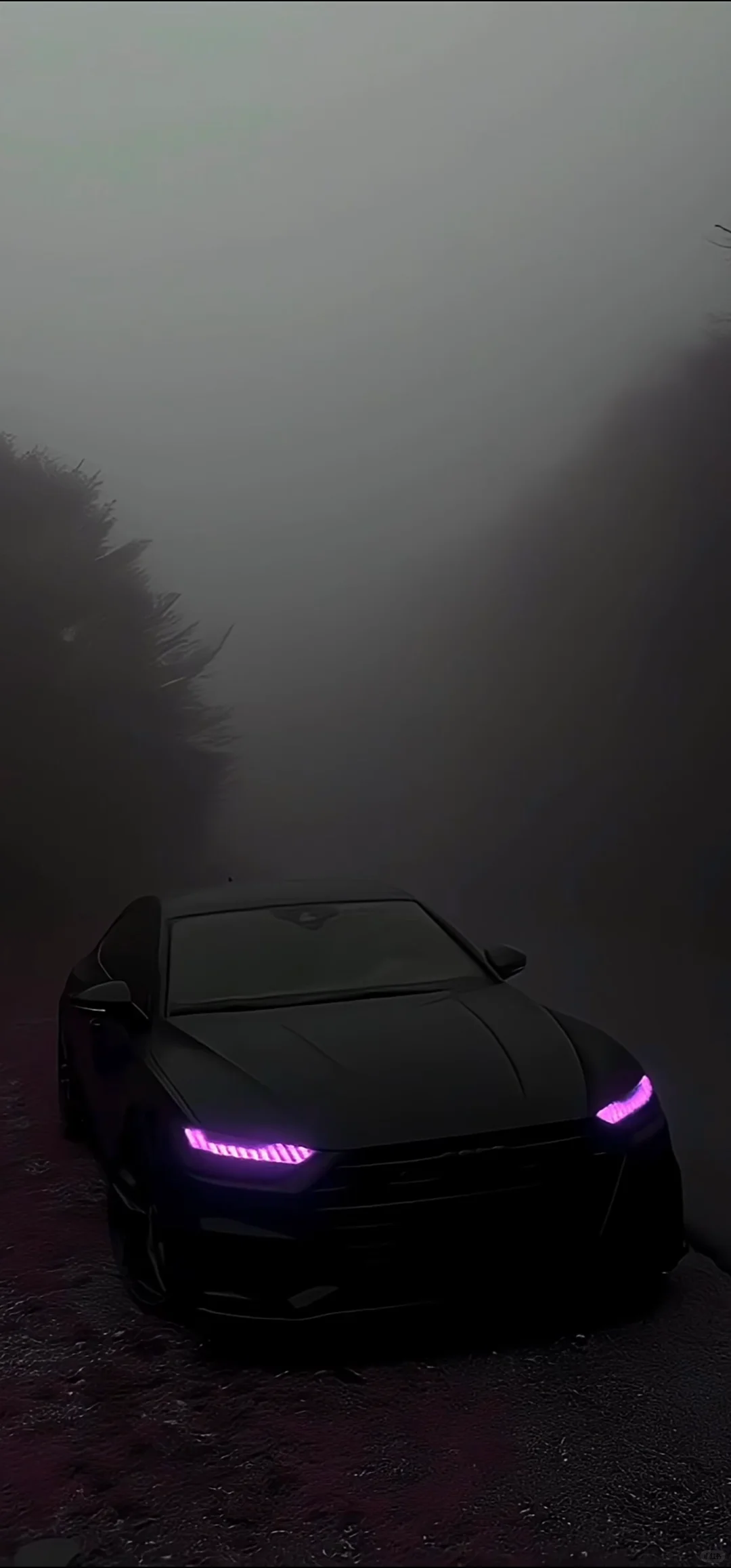 奥迪豪车手机精美壁纸多款车型