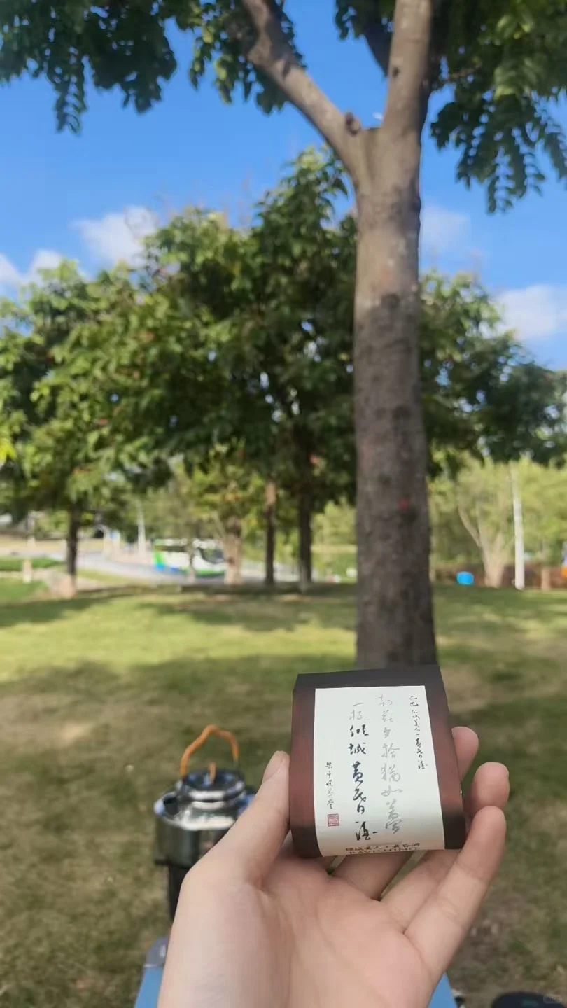 2025年最惊喜的东方美人测评—倾城