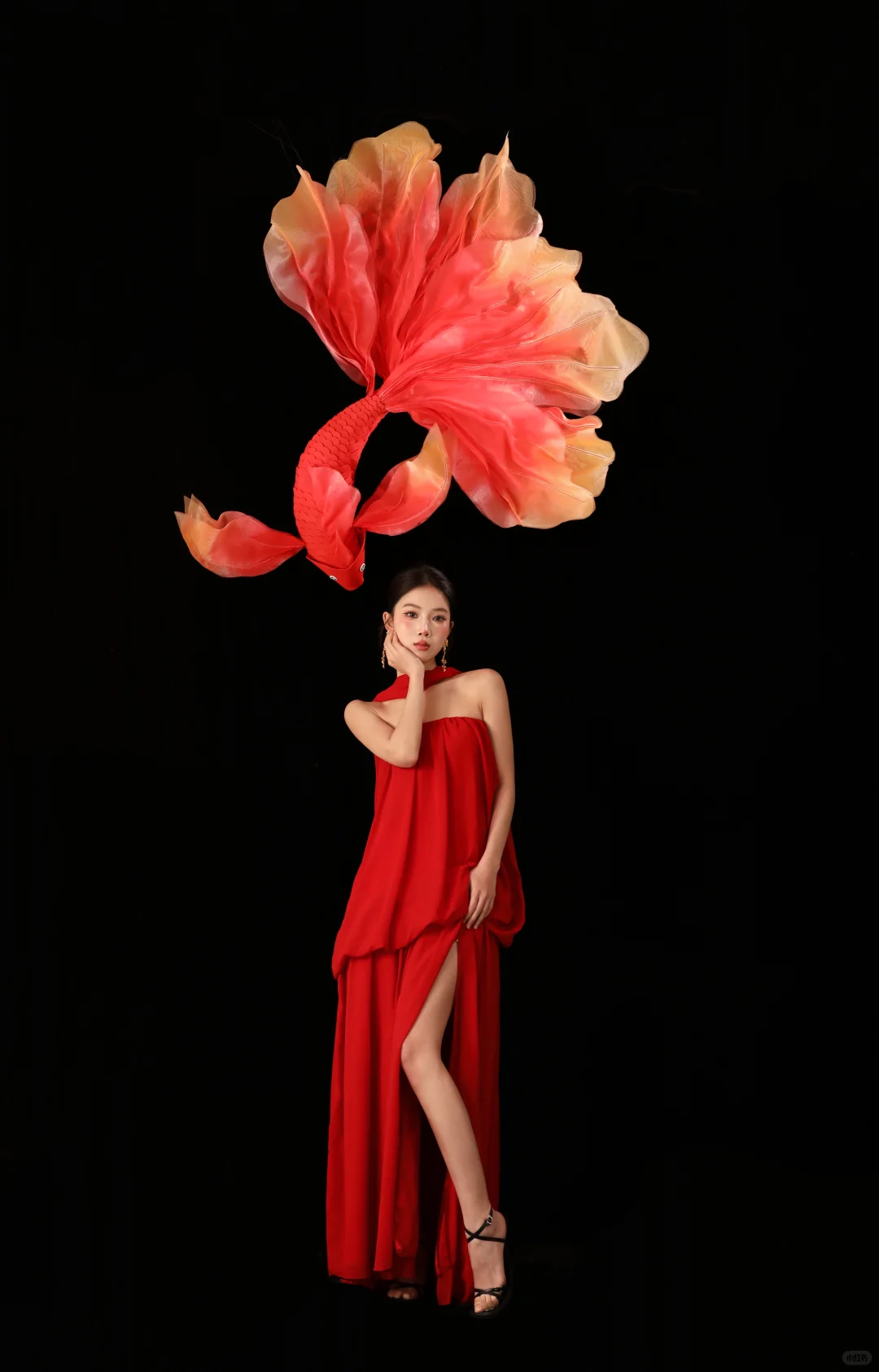 长春模特I红红火火的锦鲤❣️