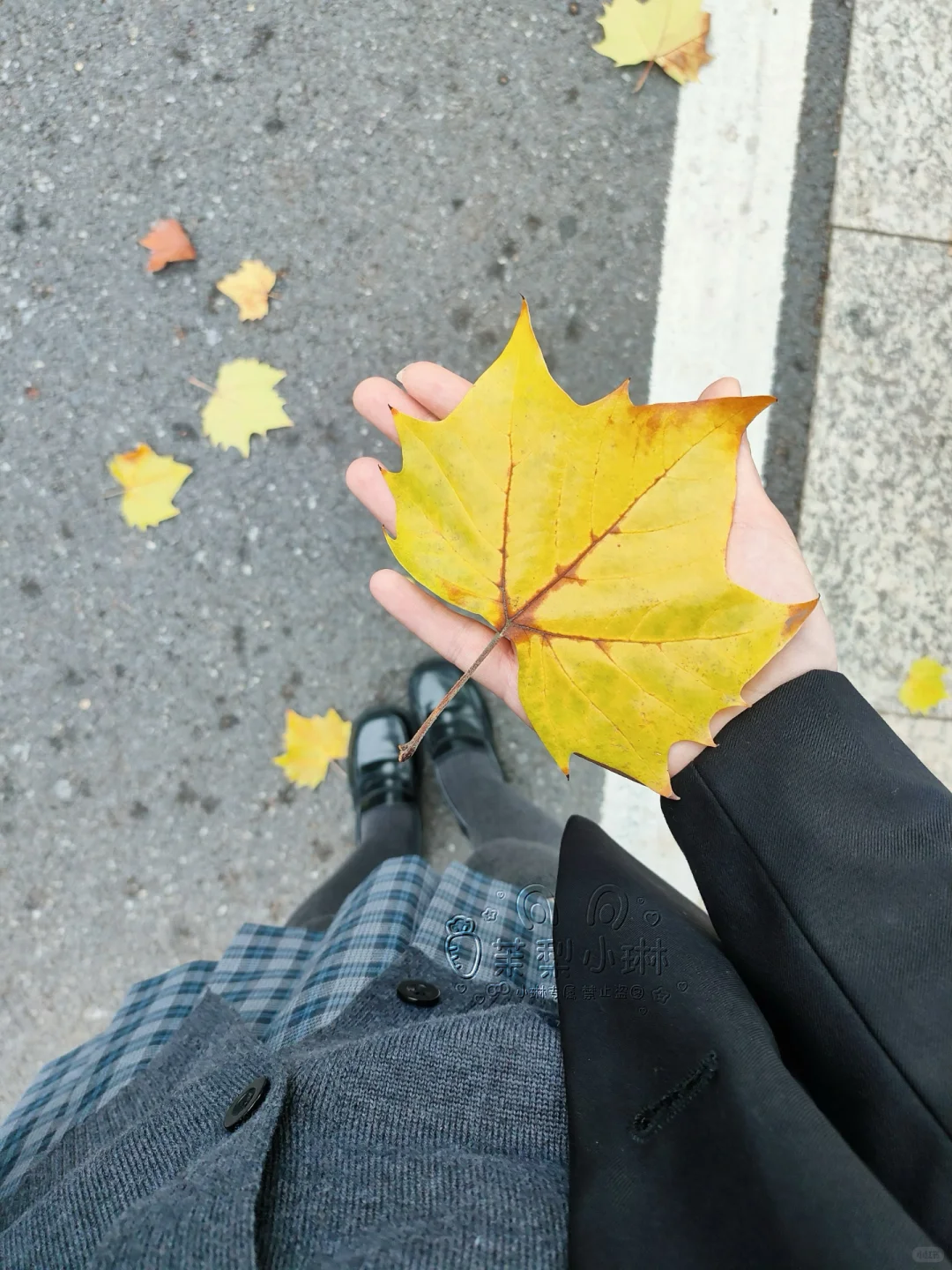 最近异常迷恋深色系