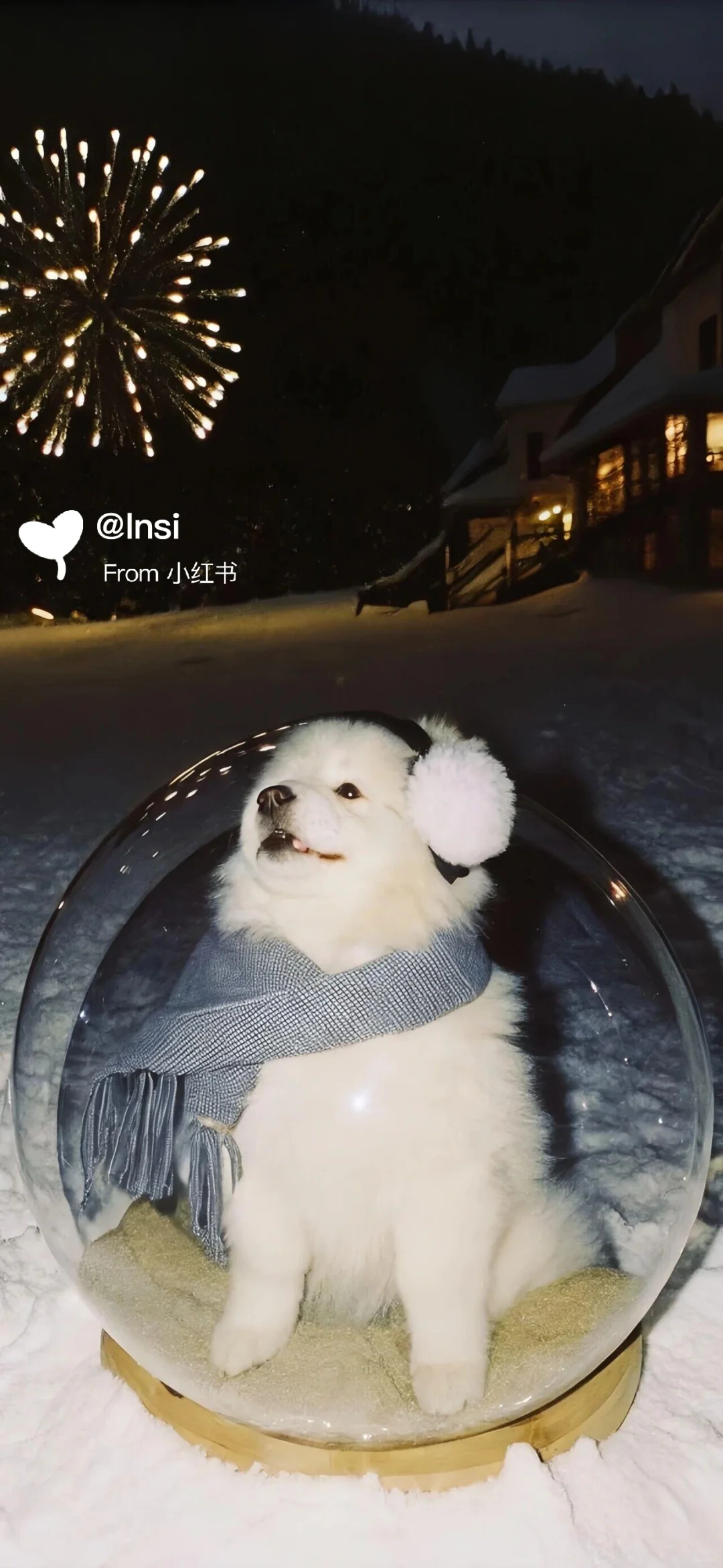 每日壁纸｜❄️❄️❄️ 祝大家11月顺利。