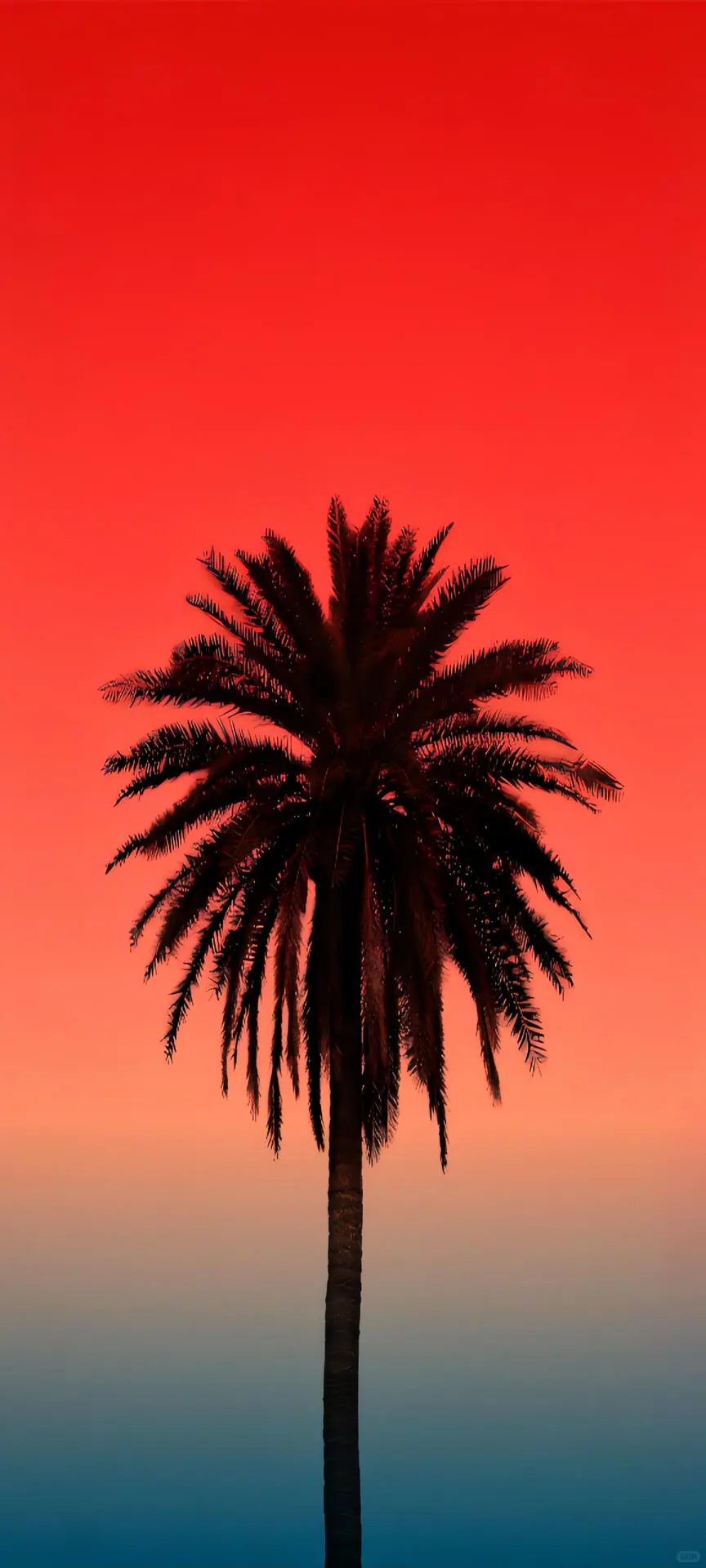 精选壁纸｜全屏